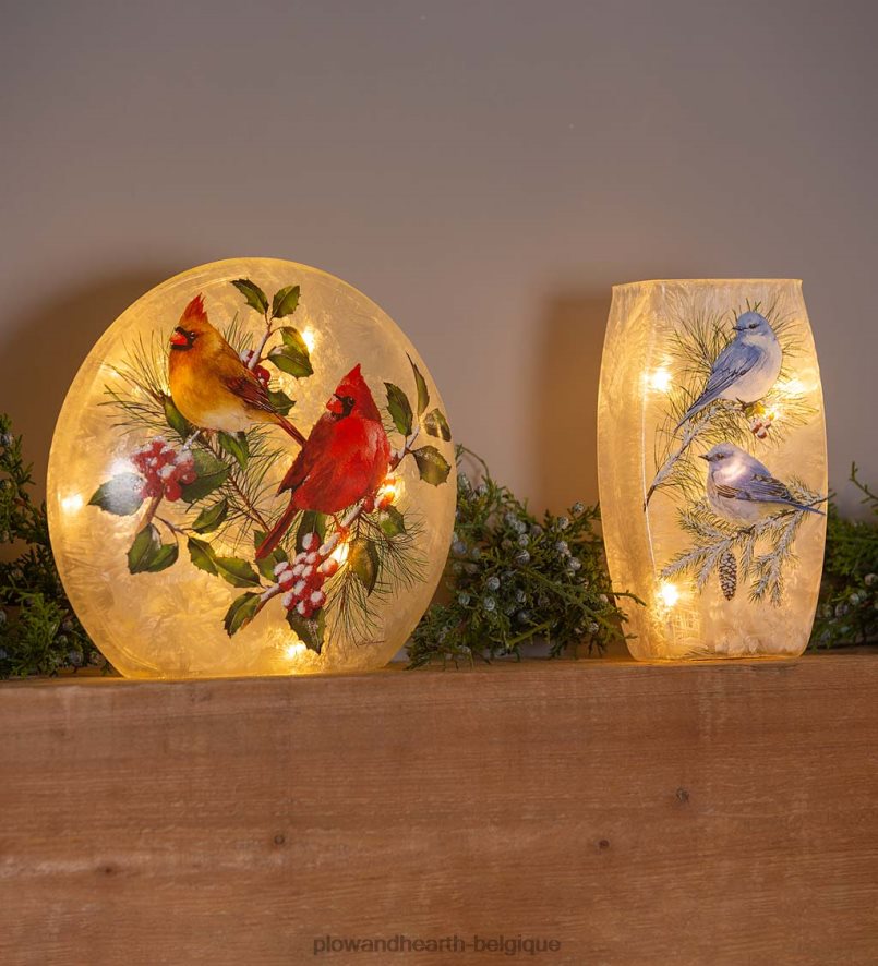 60H0822144 Plow & Hearth Lumière d'accentuation en verre dépoli des cardinaux d'hiver saisonniers et cadeaux