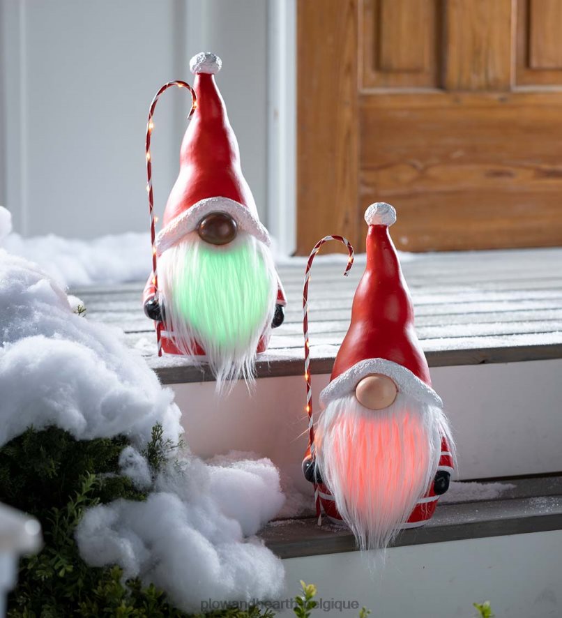 60H0822286 Plow & Hearth Gnome du Père Noël avec canne en bonbon éclairée et barbe aux couleurs changeantes - noir saisonniers et cadeaux