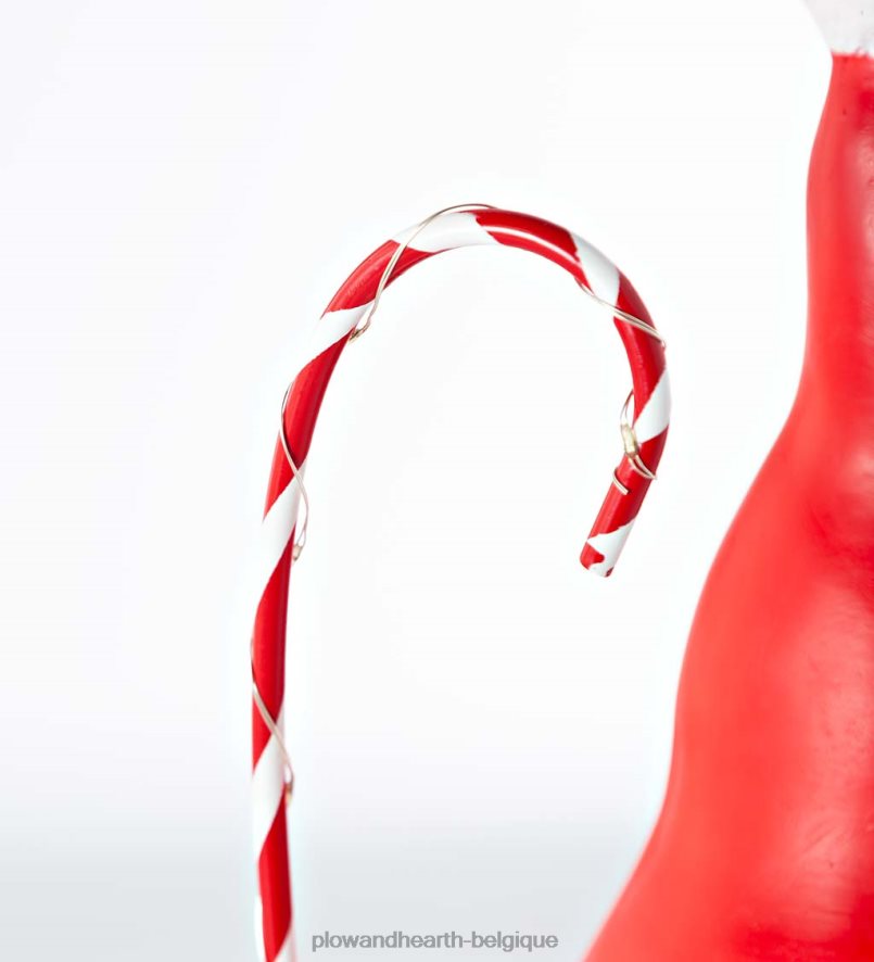 60H0822286 Plow & Hearth Gnome du Père Noël avec canne en bonbon éclairée et barbe aux couleurs changeantes - noir saisonniers et cadeaux