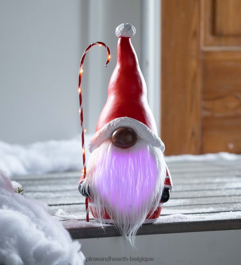 60H0822286 Plow & Hearth Gnome du Père Noël avec canne en bonbon éclairée et barbe aux couleurs changeantes - noir saisonniers et cadeaux