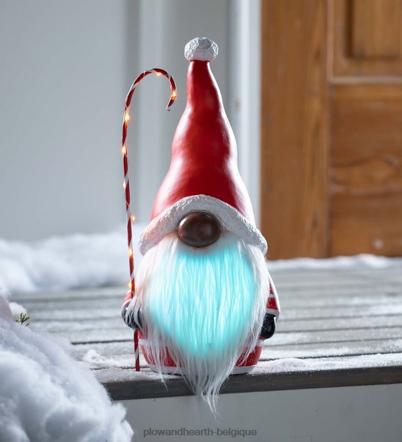 60H0822286 Plow & Hearth Gnome du Père Noël avec canne en bonbon éclairée et barbe aux couleurs changeantes - noir saisonniers et cadeaux