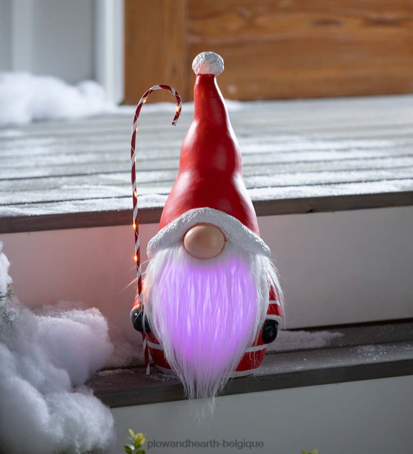 60H0822286 Plow & Hearth Gnome du Père Noël avec canne en bonbon éclairée et barbe aux couleurs changeantes - noir saisonniers et cadeaux