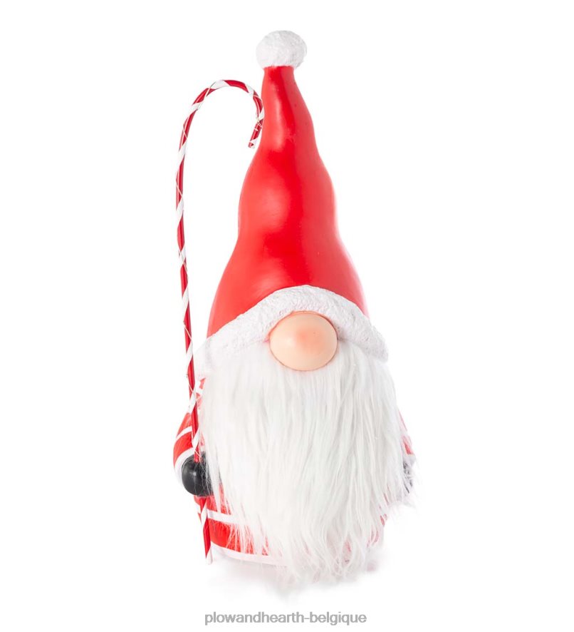 60H0822286 Plow & Hearth Gnome du Père Noël avec canne en bonbon éclairée et barbe aux couleurs changeantes - noir saisonniers et cadeaux