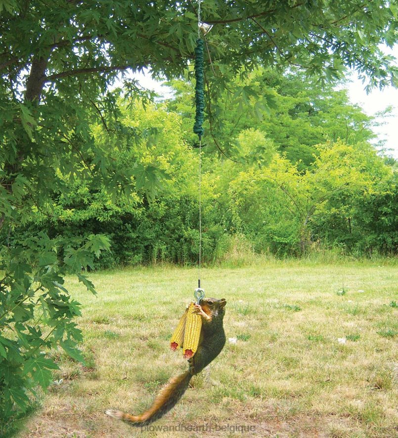 60H0823004 Plow & Hearth mangeoire à écureuils à saut shungee saisonniers et cadeaux