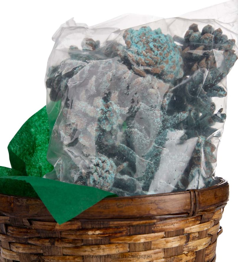 60H0823252 Plow & Hearth Cônes de couleur de cheminée aux couleurs changeantes, 1 lb dans un panier-cadeau saisonniers et cadeaux