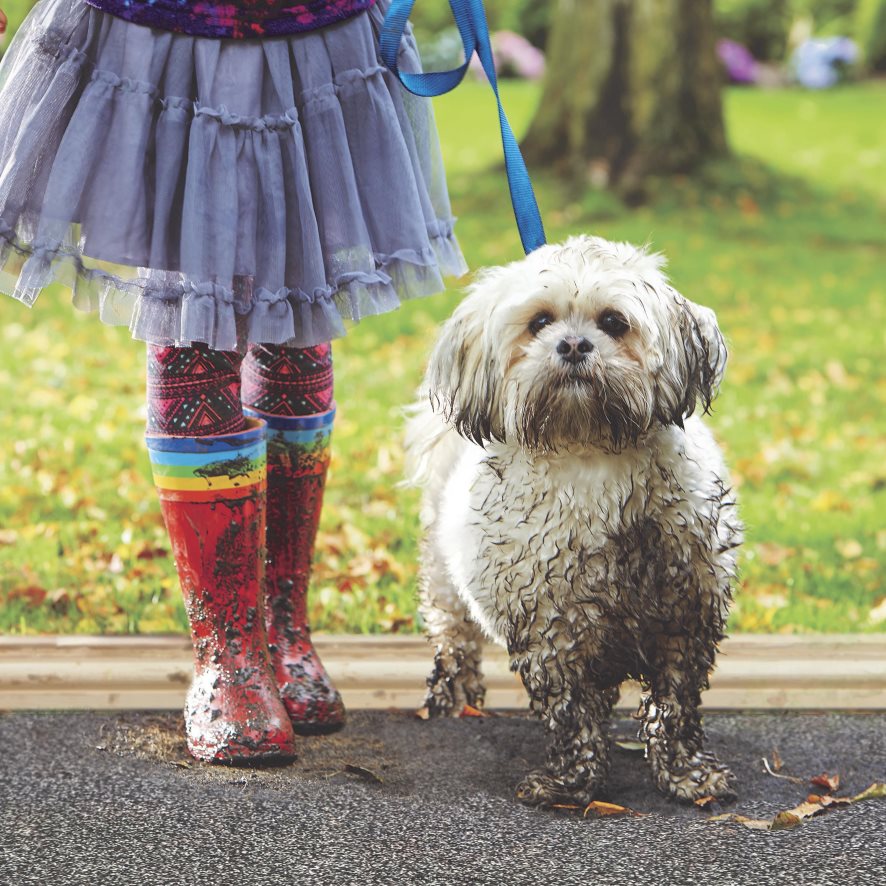 60H0823224 Plow & Hearth tapis de boue anti-saleté my mat, 31 x 59 - café tapis et nattes