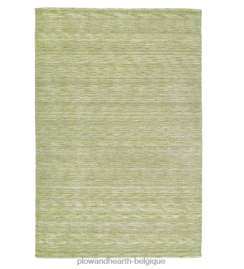 60H0821776 Plow & Hearth tapis Renaissance en laine vierge fait à la main tapis et nattes