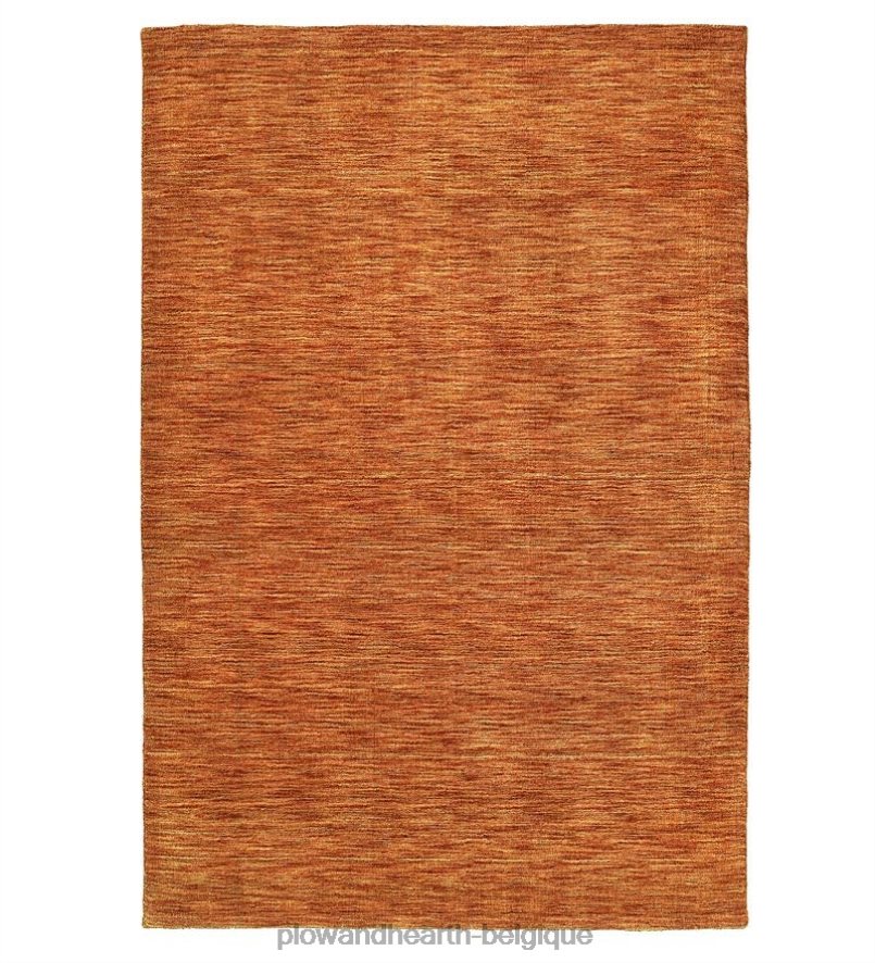 60H0821776 Plow & Hearth tapis Renaissance en laine vierge fait à la main tapis et nattes
