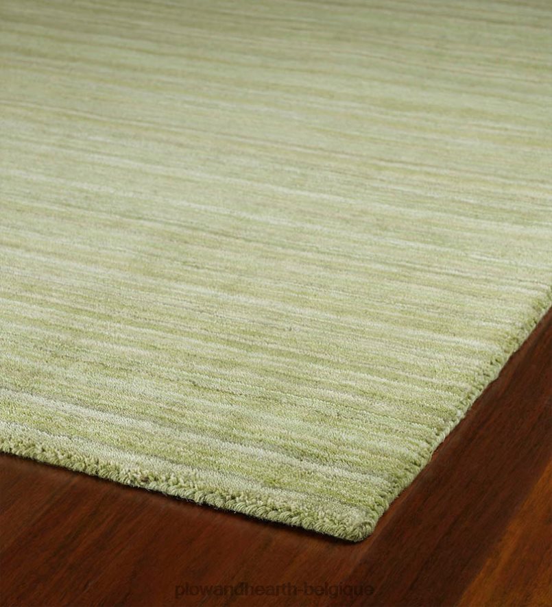 60H0821776 Plow & Hearth tapis Renaissance en laine vierge fait à la main tapis et nattes
