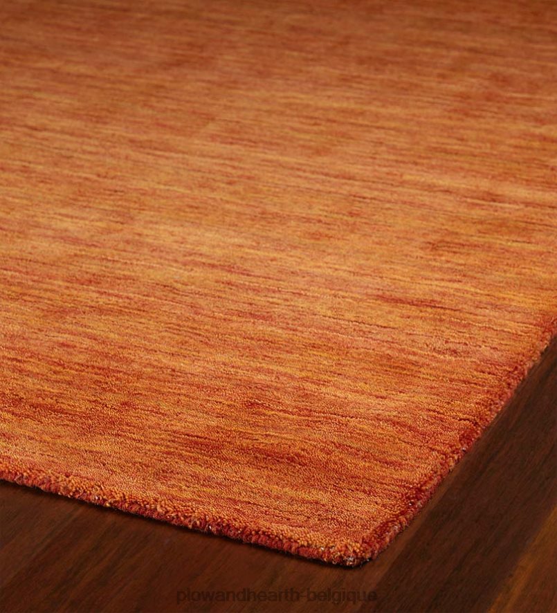 60H0821776 Plow & Hearth tapis Renaissance en laine vierge fait à la main tapis et nattes
