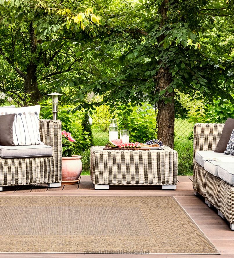 60H0821804 Plow & Hearth Tapis intérieur/extérieur avec bordure de faucon minou tapis et nattes