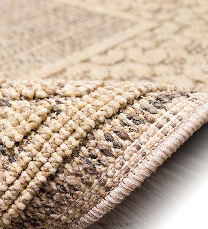 60H0821804 Plow & Hearth Tapis intérieur/extérieur avec bordure de faucon minou tapis et nattes